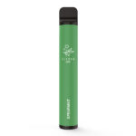 Elfbar 600 CP - Spearmint