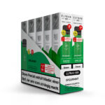 Elfbar 600 CP - Spearmint